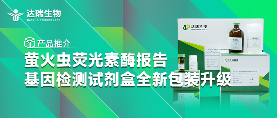 产品推介丨萤火虫荧光素酶报告基因检测试剂盒全新包装升级